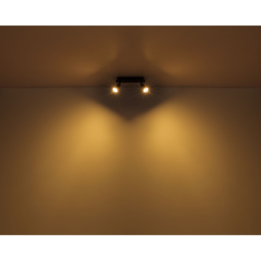 Globo - Спот 2xGU10/35W/230V черен