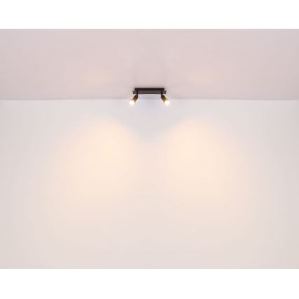 Globo - Спот 2xGU10/35W/230V черен