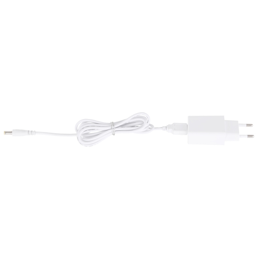 Globo 58400W - LED Настолна лампа с възможност за регулиране BULLA LED / 5W / 230V
