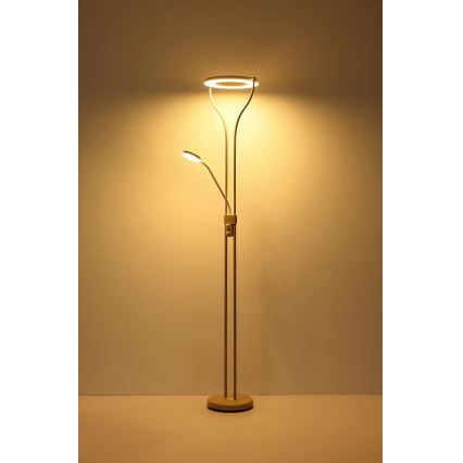 Globo - LED димируема подова лампа LED/20W/230V + LED/4W 3000K