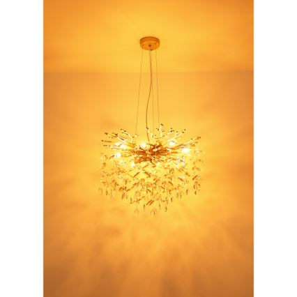 Globo - Полилей на кабел 8xE14/40W/230V златен