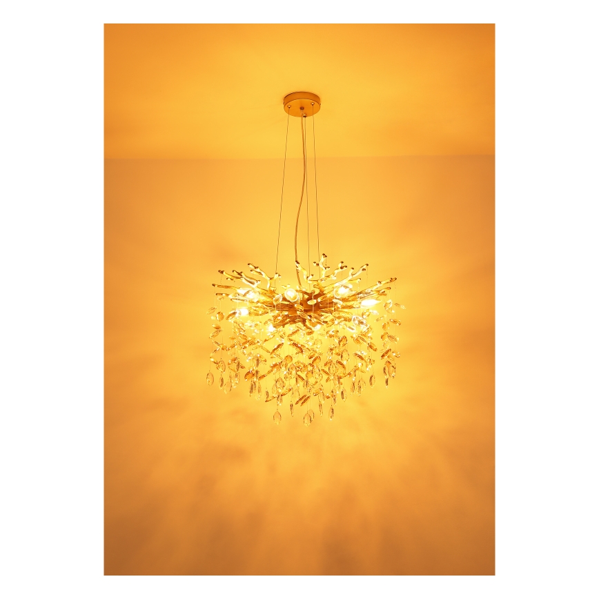 Globo - Полилей на кабел 8xE14/40W/230V златен