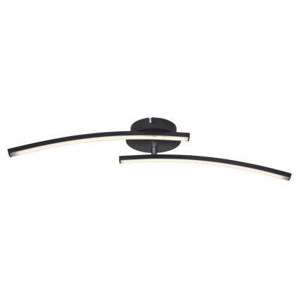 Globo - LED Полилей за повърхностен монтаж 2xLED/6W/230V 3000/4000/6000K
