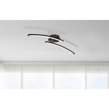 Globo - LED Полилей за повърхностен монтаж 2xLED/6W/230V 3000/4000/6000K