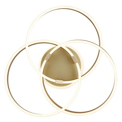 Globo - LED димируемо таванно осветително тяло LED/56W/230V 2700-6000K 57,5x60 cm златисто + дистанционно управление