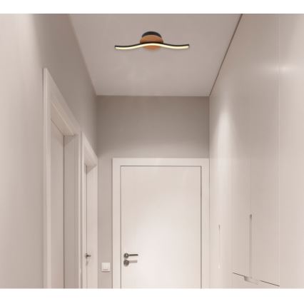 Globo - LED Плафониера LED/6W/230V