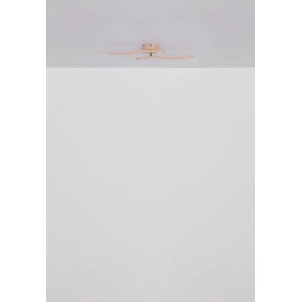 Globo - LED Полилей за повърхностен монтаж LED/12W/230V 3000K оранжев