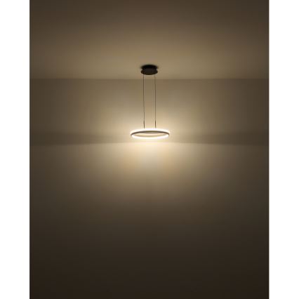 Globo - LED Пендел LED/40W/230V 3000/4000/6000K Ø 39,7 см кафяв