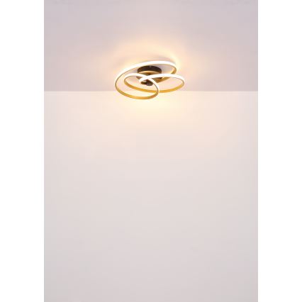 Globo - LED Полилей за повърхностен монтаж LED/40W/230V 3000K златист/черен