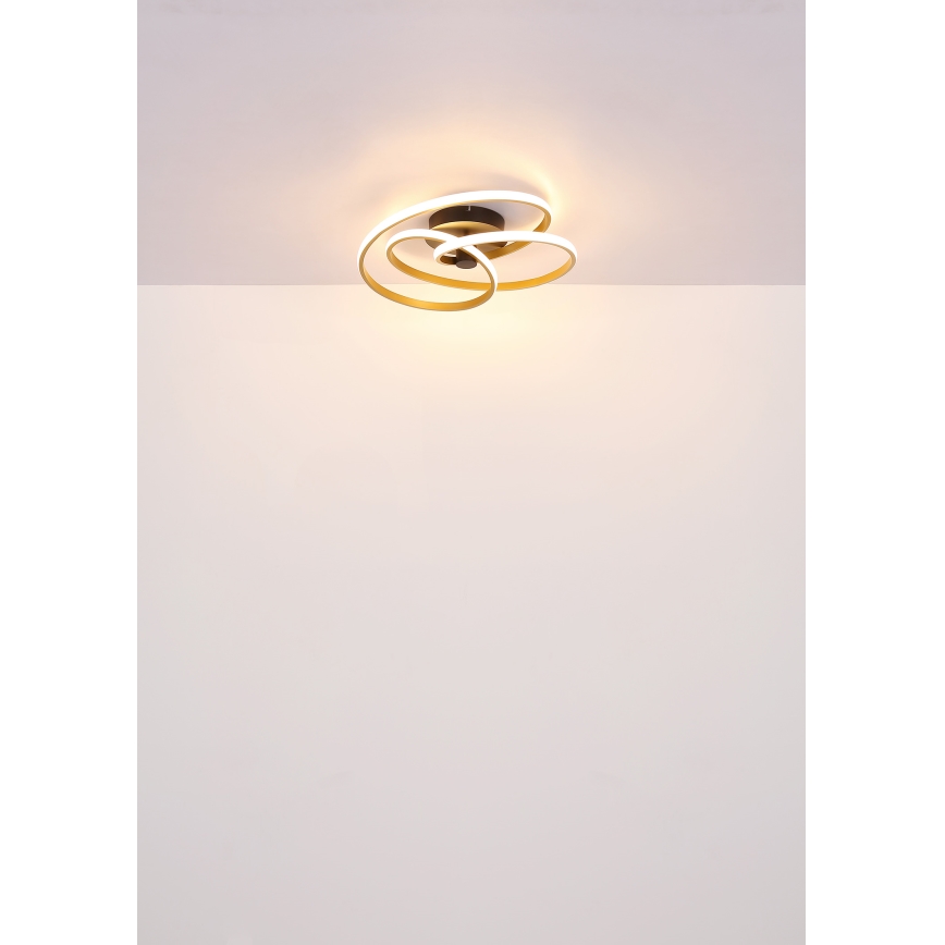 Globo - LED Полилей за повърхностен монтаж LED/40W/230V 3000K златист/черен