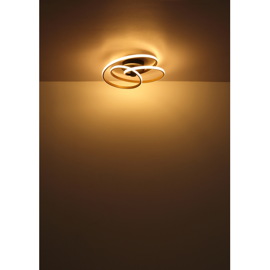 Globo - LED Полилей за повърхностен монтаж LED/40W/230V 3000K златист/черен