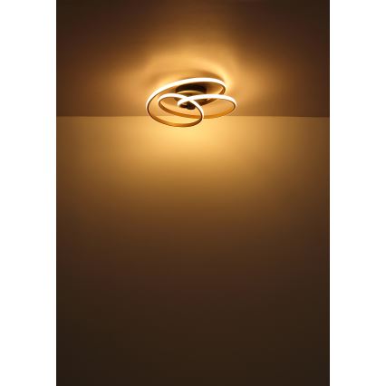 Globo - LED Полилей за повърхностен монтаж LED/40W/230V 3000K матов хром/черен