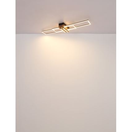 Globo - LED Плафониера LED/40W/230V 3000K 25x100 см черен