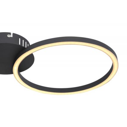 Globo - LED Повърхностен полилей LED/24W/230V