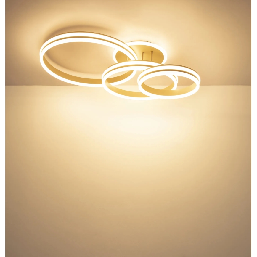 Globo - LED Димируемо таванно осветително тяло LED/72W/230V 3000K 79,5x50 cm