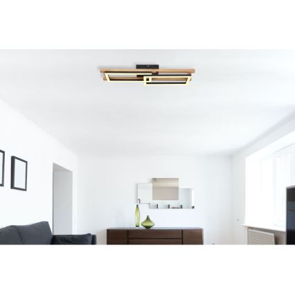 Globo - LED Плафониера LED/20W/230V