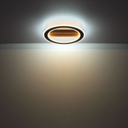 Globo - LED Полилей за повърхностен монтаж LED/30W/230V кръгъл