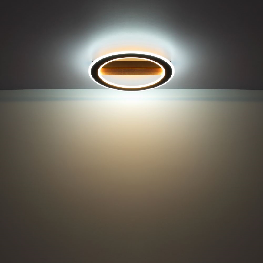 Globo - LED Полилей за повърхностен монтаж LED/30W/230V кръгъл
