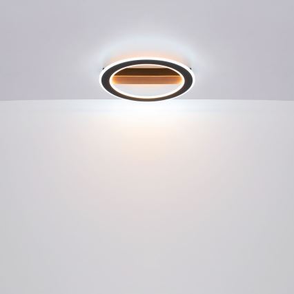 Globo - LED Полилей за повърхностен монтаж LED/30W/230V кръгъл