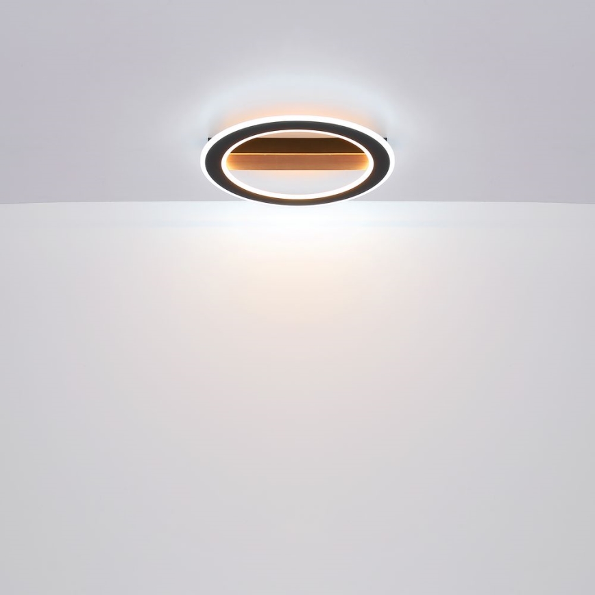 Globo - LED Полилей за повърхностен монтаж LED/30W/230V кръгъл