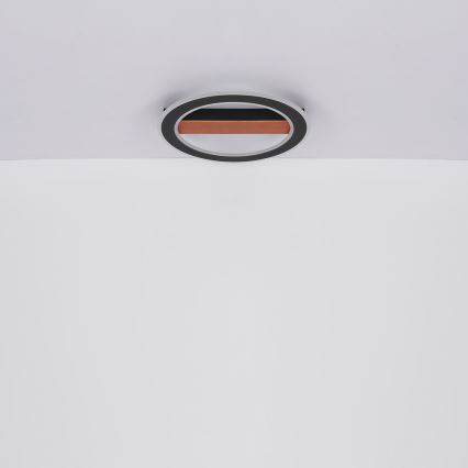 Globo - LED Полилей за повърхностен монтаж LED/30W/230V кръгъл