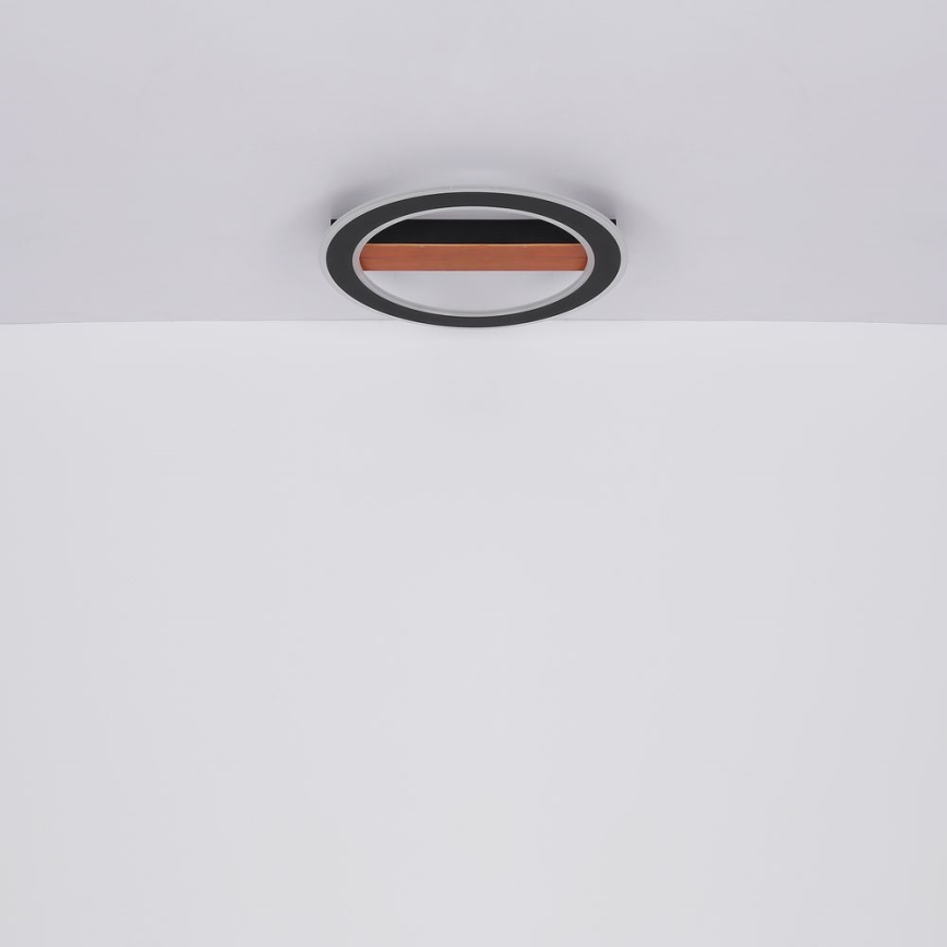 Globo - LED Полилей за повърхностен монтаж LED/30W/230V кръгъл