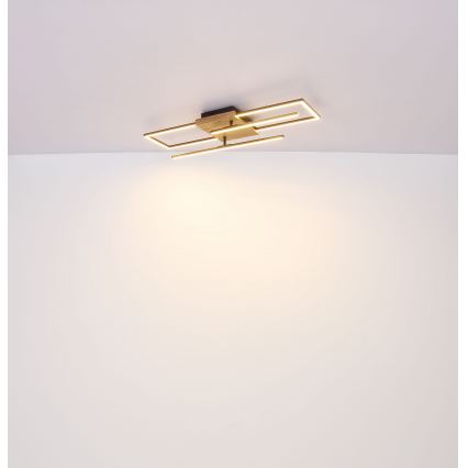 Globo - LED Плафониера LED/18W/230V