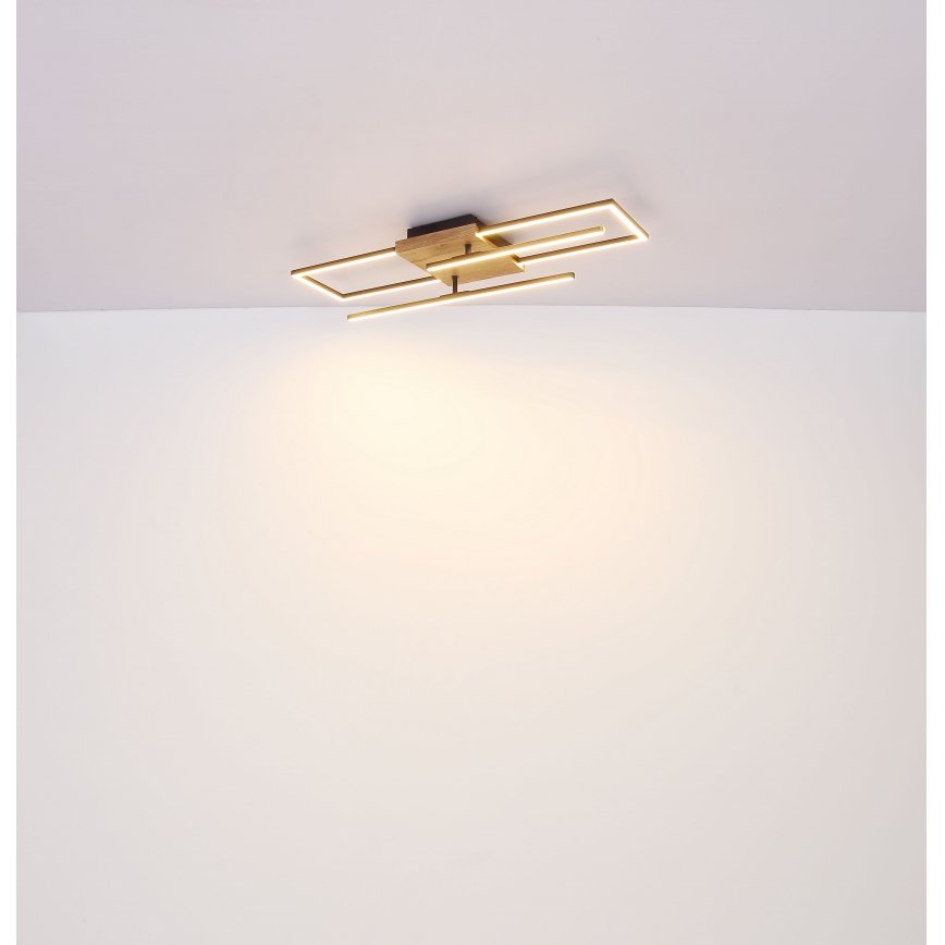 Globo - LED Плафониера LED/18W/230V