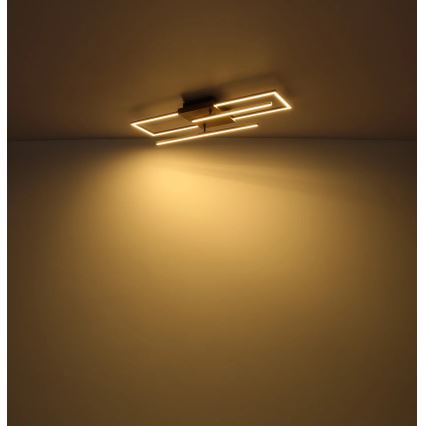 Globo - LED таванно осветително тяло LED/24W/230V 3000K 20x80 cm