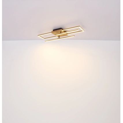 Globo - LED таванно осветително тяло LED/24W/230V 3000K 20x80 cm