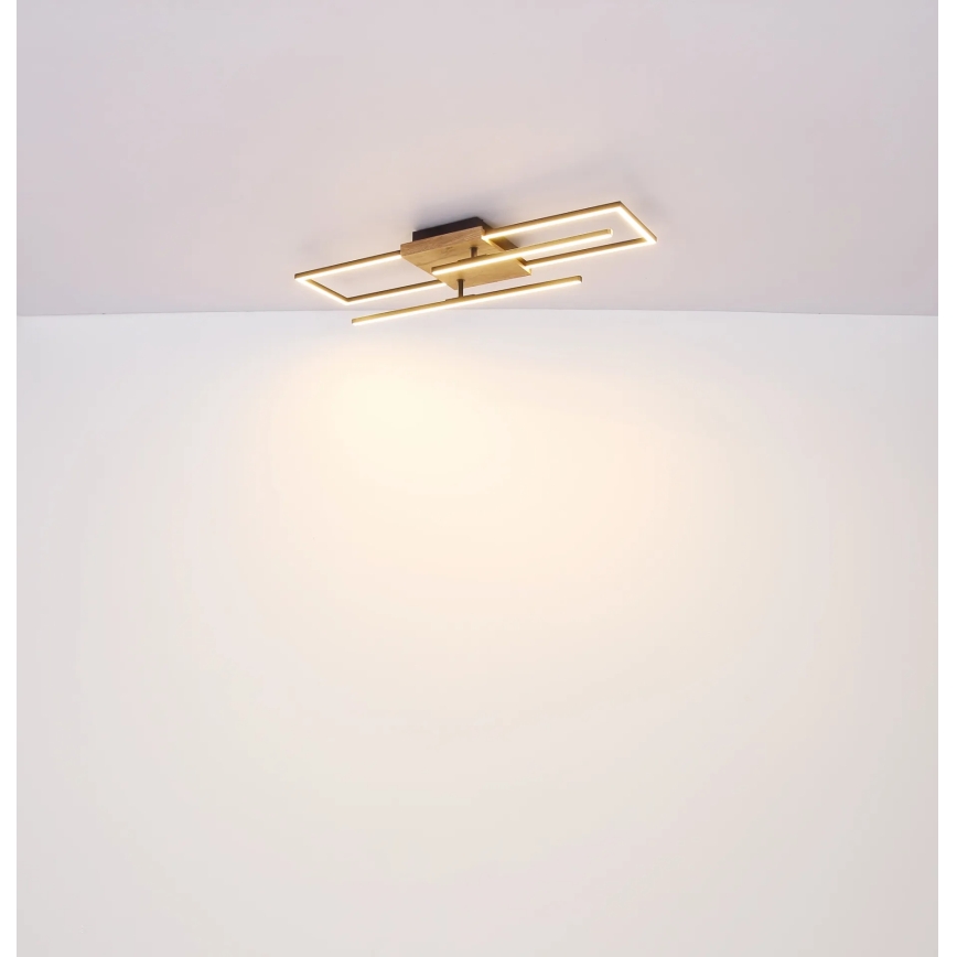 Globo - LED таванно осветително тяло LED/24W/230V 3000K 20x80 cm
