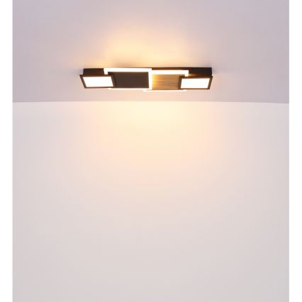 Globo 67279-30 - LED таванно осветително тяло CAROLINE LED/30W/230V 25x71,5 cm бежово/черно