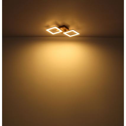 Globo - LED Полилей за повърхностен монтаж LED/18W/230V