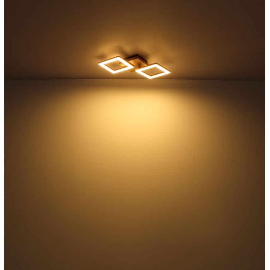 Globo - LED Полилей за повърхностен монтаж LED/18W/230V