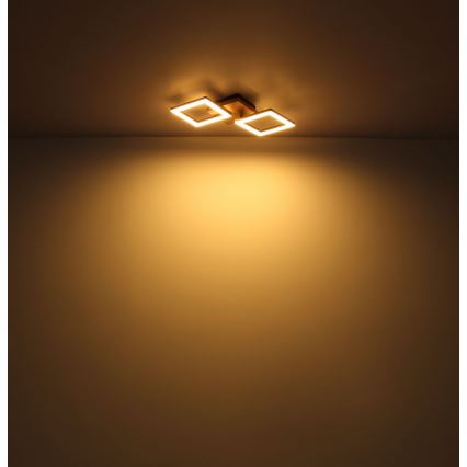 Globo - LED Полилей за повърхностен монтаж LED/30W/230V
