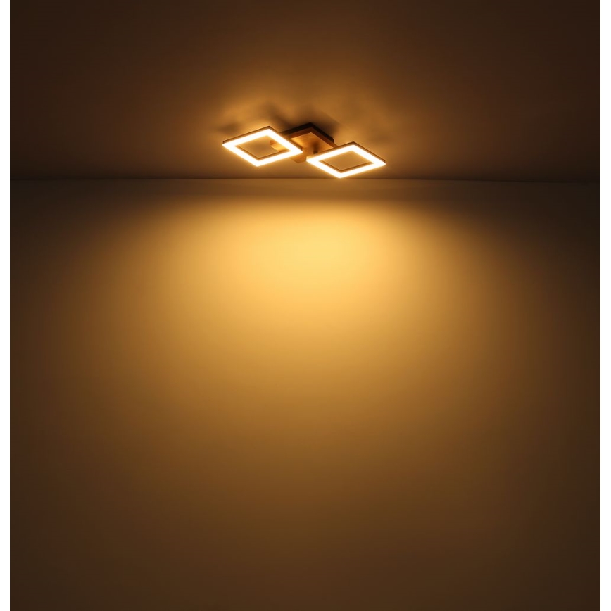 Globo - LED Полилей за повърхностен монтаж LED/30W/230V