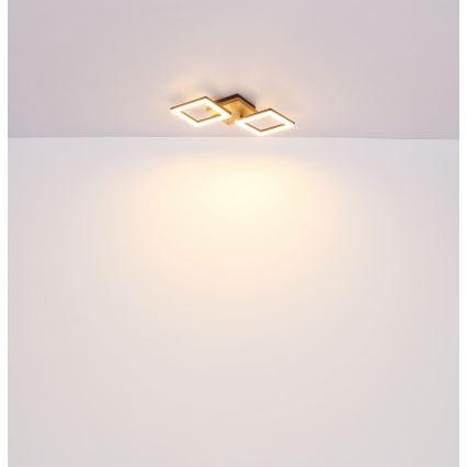 Globo - LED Полилей за повърхностен монтаж LED/30W/230V