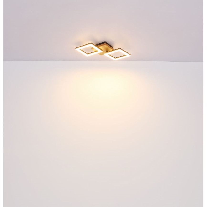 Globo - LED Полилей за повърхностен монтаж LED/30W/230V