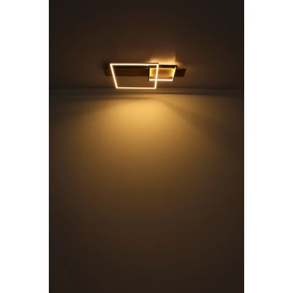 Globo 67289D1 - LED таванно осветително тяло VANNI LED/24W/230V 40x75 см кафяв/черен