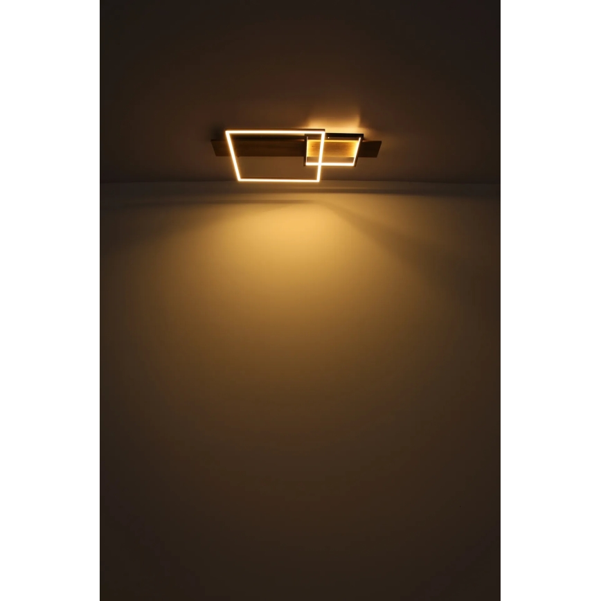 Globo 67289D1 - LED таванно осветително тяло VANNI LED/24W/230V 40x75 см кафяв/черен