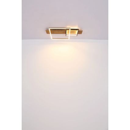 Globo 67289D1 - LED таванно осветително тяло VANNI LED/24W/230V 40x75 см кафяв/черен