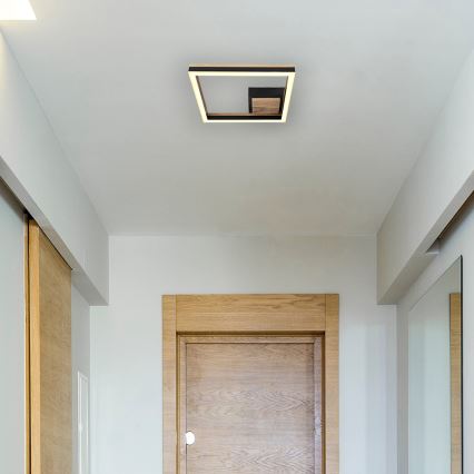 Globo - LED Плафониера LED/12W/230V