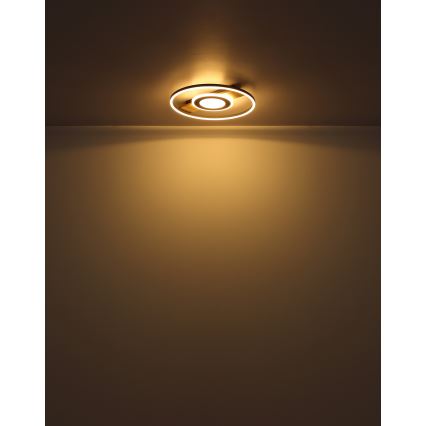 Globo - LED Плафониера LED/24W/230V