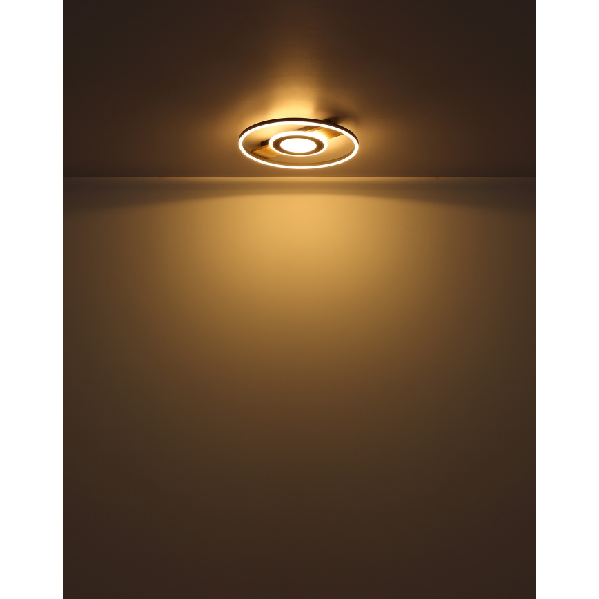 Globo - LED Плафониера LED/24W/230V