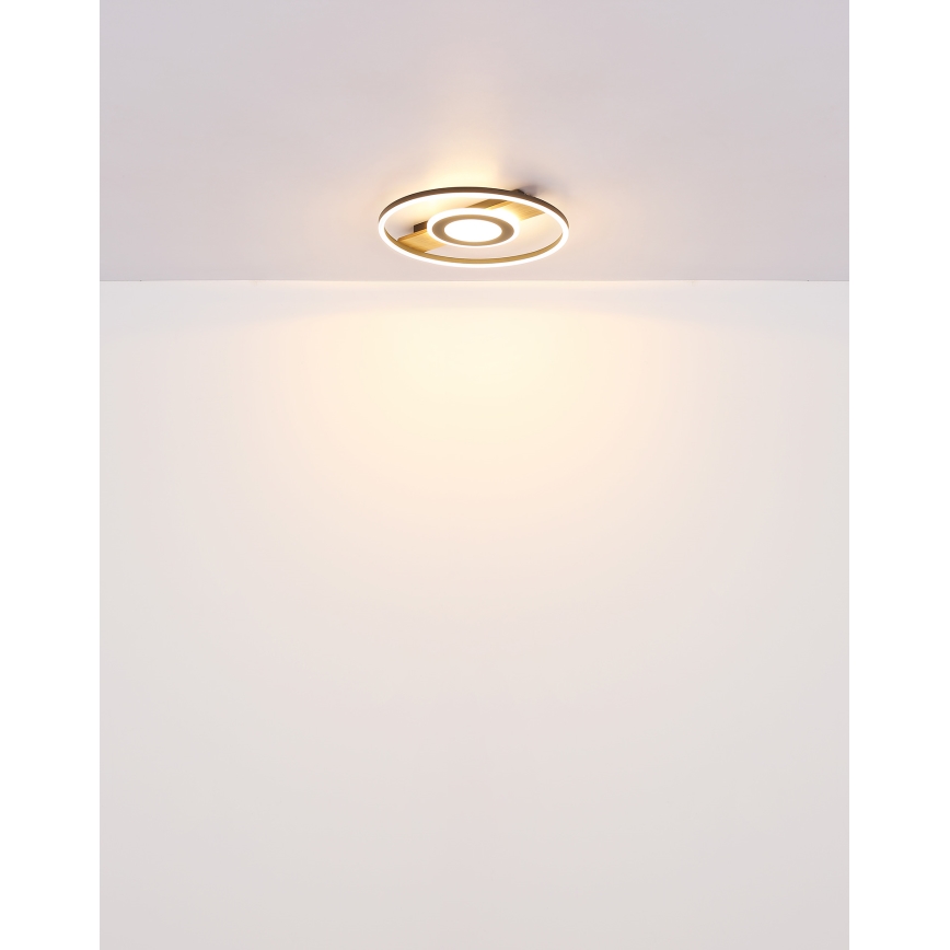 Globo - LED Плафониера LED/24W/230V