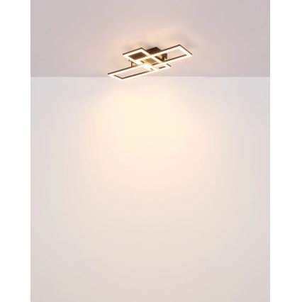 Globo - LED Плафониера LED/24W/230V