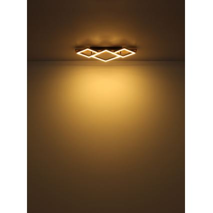 Globo - LED Плафониера LED/24W/230V