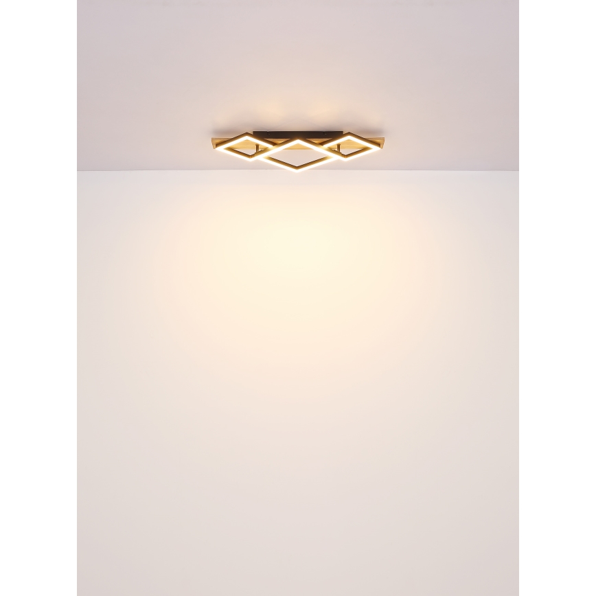 Globo - LED Плафониера LED/24W/230V