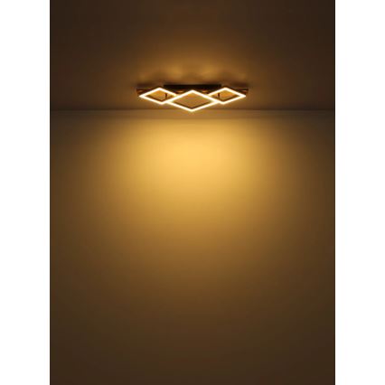 Globo - LED Плафониера LED/24W/230V
