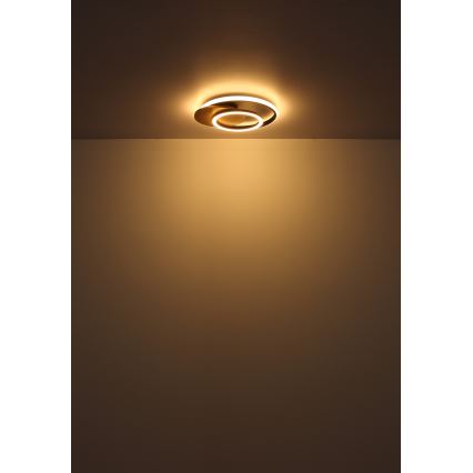 Globo - LED Плафониера LED/24W/230V черен